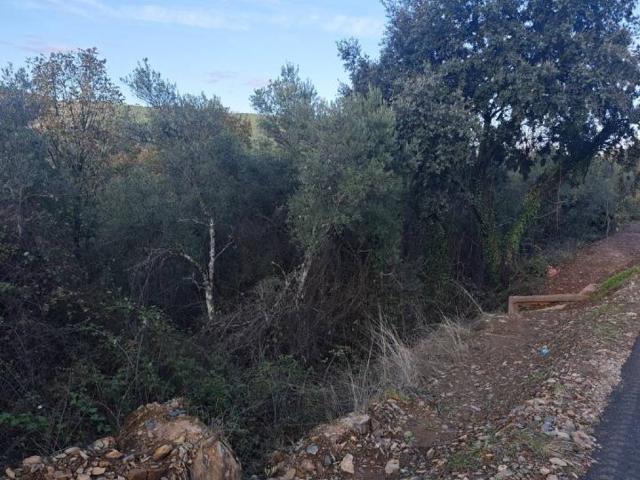Terreno en venta en Zarza De Granadilla, Extremadura