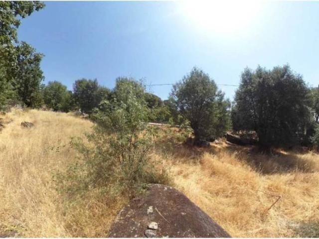 Terreno en venta en Zarzalejo, Madrid