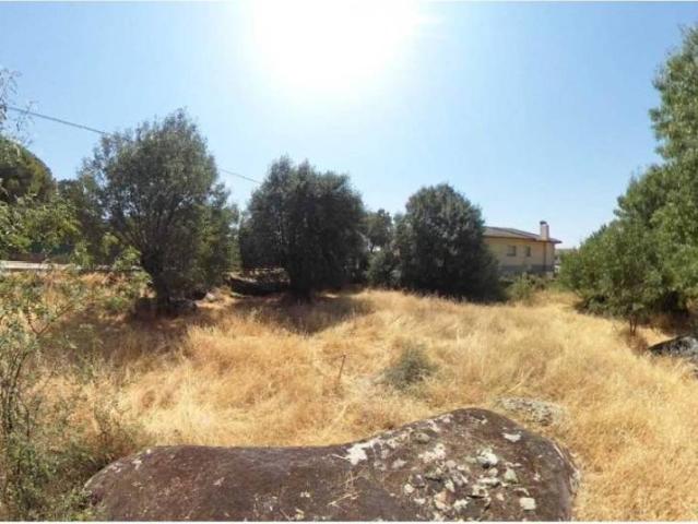 Terreno en venta en Zarzalejo, Madrid