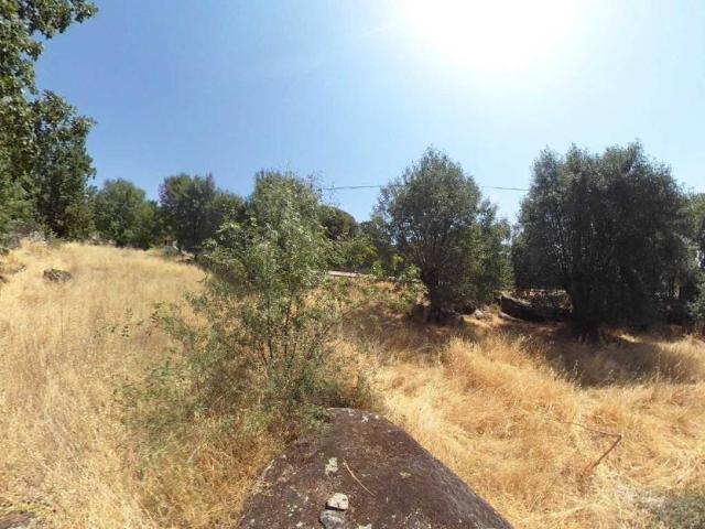 Terreno en venta en Zarzalejo (estación), Zarzalejo