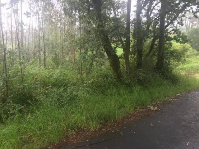 Terreno en venta en San Martiño de Meanos, Terra de Soneira