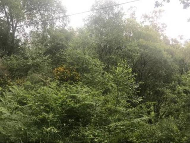 Terreno en venta en San Martiño de Meanos, Terra de Soneira