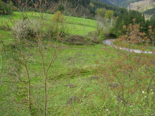 Terreno en venta en Zeanuri, Guipúzcoa