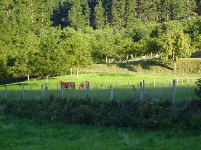Terreno en venta en Zeanuri, Guipúzcoa