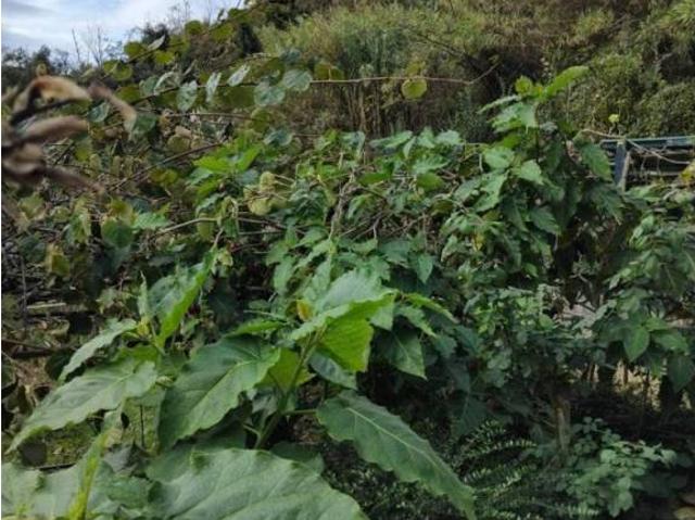 Terreno en venta en Zierbena, Guipúzcoa