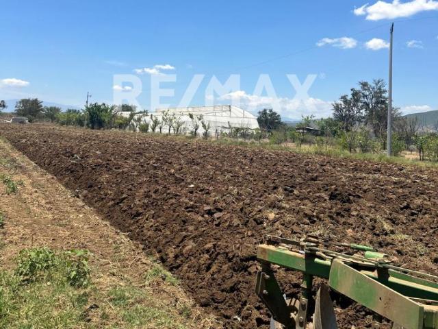 Terreno en venta en Zimatlán De Alvarez, Oaxaca