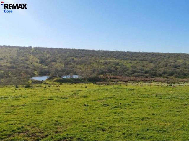 Terreno en venta en Zorita, Extremadura
