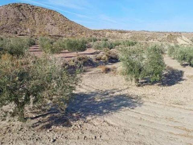 Terreno en venta en La Alfoquia, Valle del Almanzora