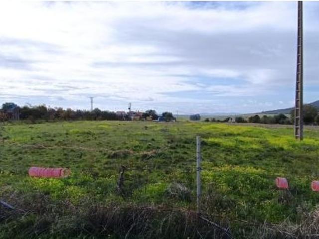Local Comercial en venta en Margallo, Cáceres