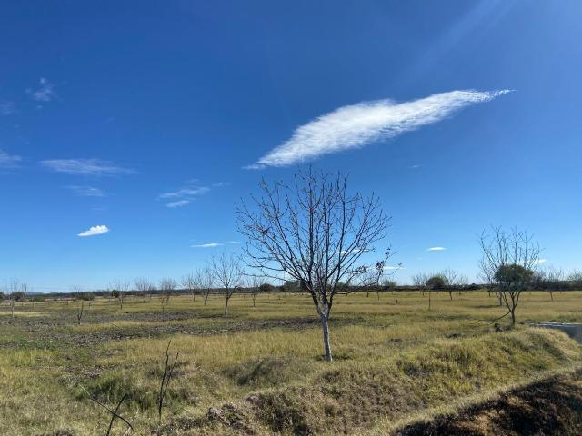 Terreno en venta en San Pedro