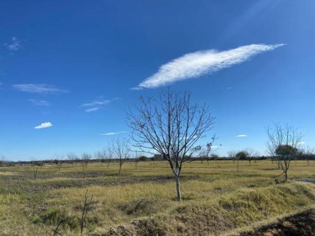 Terreno en Venta es Concordia, Coahuila