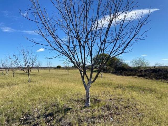 Terreno en Venta es Concordia, Coahuila