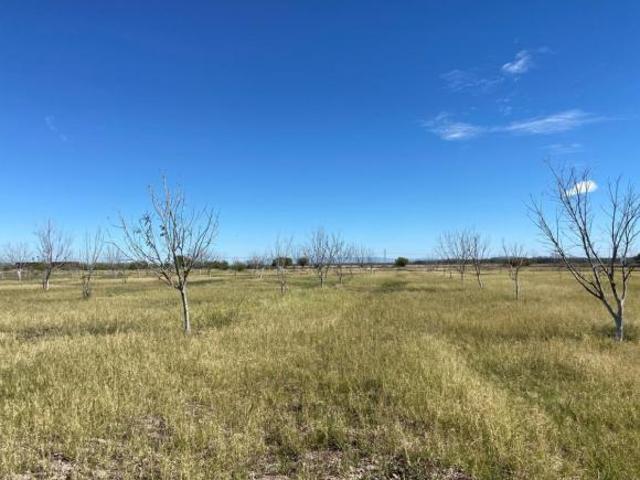 Terreno en Venta es Concordia, Coahuila