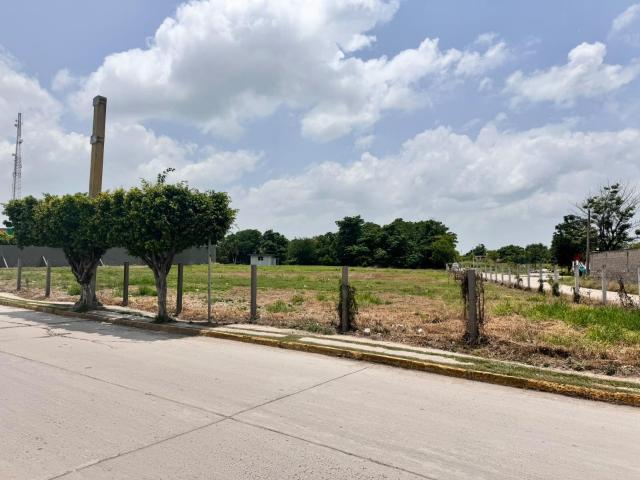 Terreno en renta en Pánuco, Veracruz
