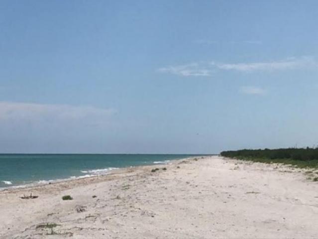 Terreno en venta en Celestún