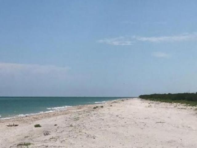 Terreno en Venta Frente a la playa en Celestún