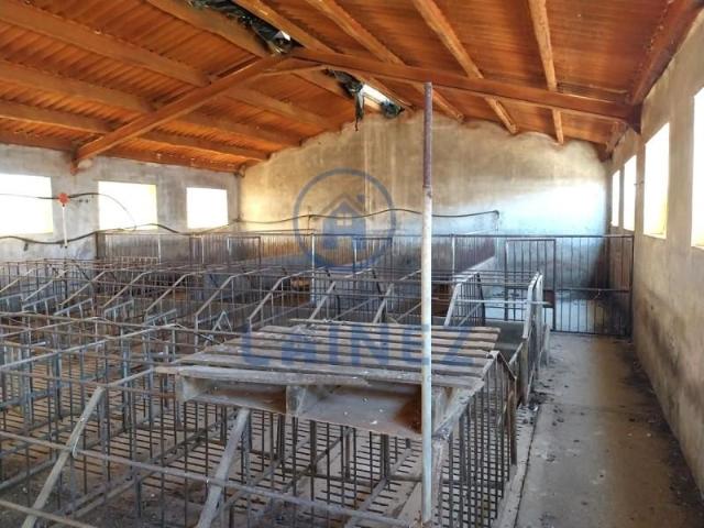 Terreno en venta en Fuente Obejuna, Andalucía
