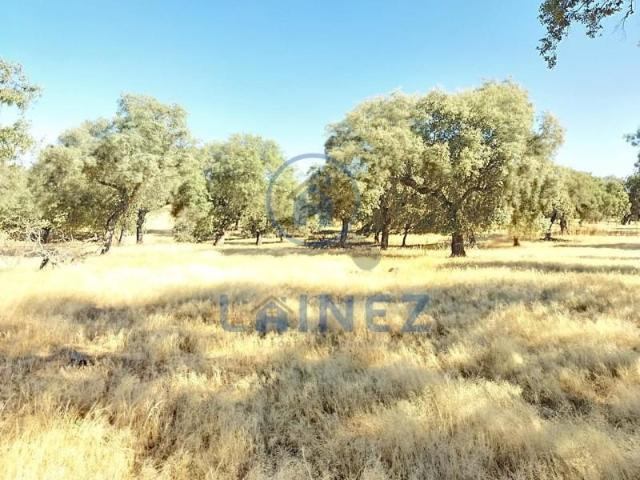 Terreno en venta en Fuente Obejuna, Andalucía
