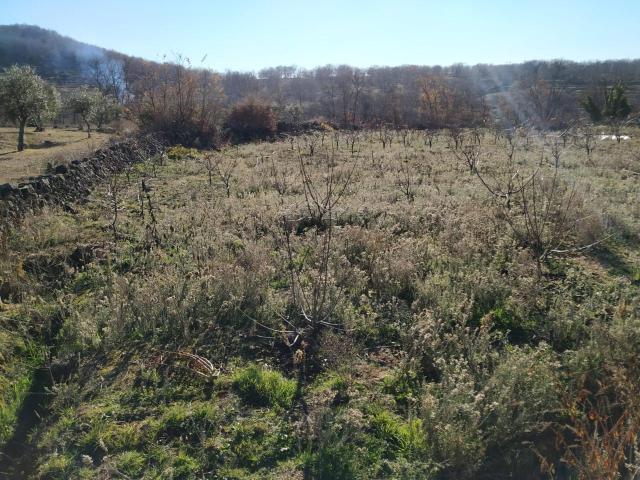 Terreno en venta en Gargüera, Extremadura