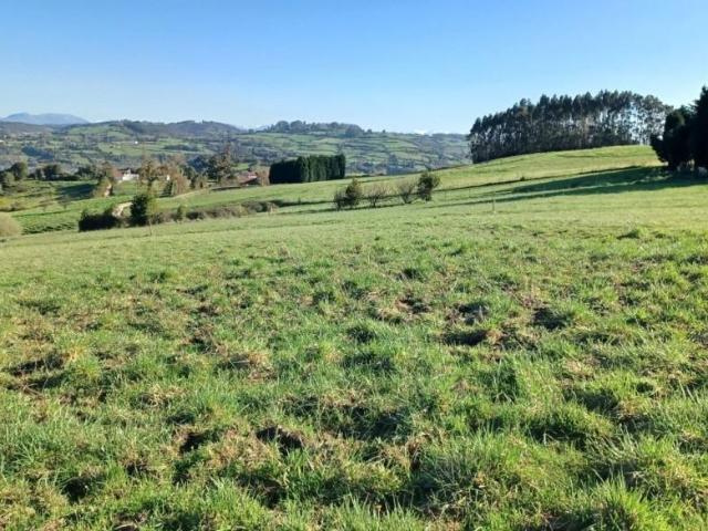 Terreno en venta en Gijón, Asturias