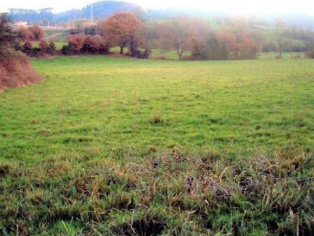 Terreno en venta en Grado, Asturias