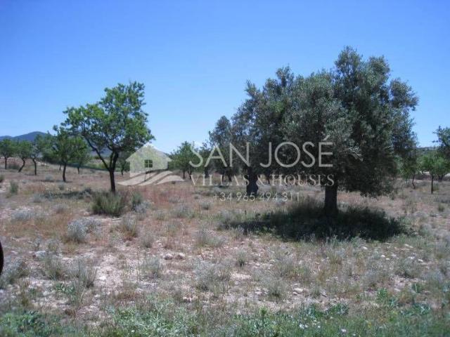 Terreno en venta en Polígon de Sant Blai, l'Alacantí