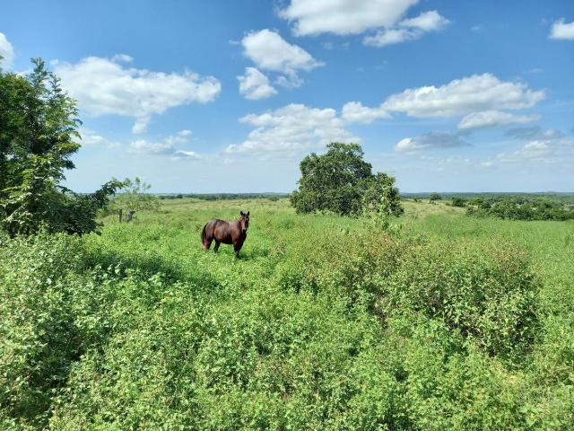 Terreno en venta en Tempoal, Veracruz