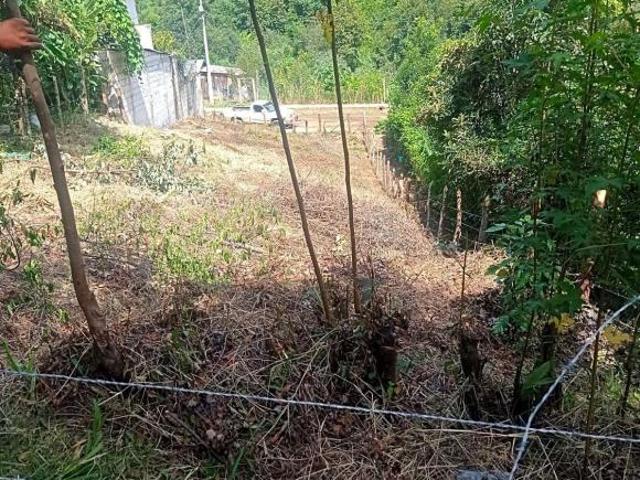 Terreno en venta en Huauchinango, Puebla
