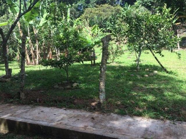Terreno en venta en La Estanzuela, Tantoyuca