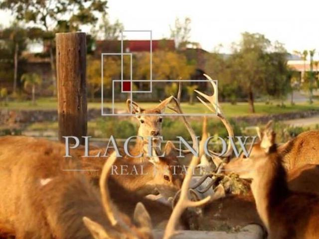 Terreno en venta en Huichapan, Hidalgo