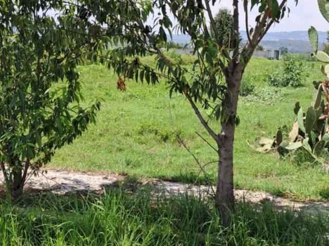 Terreno en venta en San Diego Xocoyucan, Ixtacuixtla de Mariano Matamoros