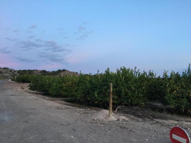 Terreno en venta en Javalí Viejo, Área Metropolitana de Murcia