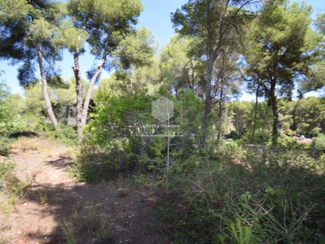 Terreno en venta en Covatelles, la Marina Alta
