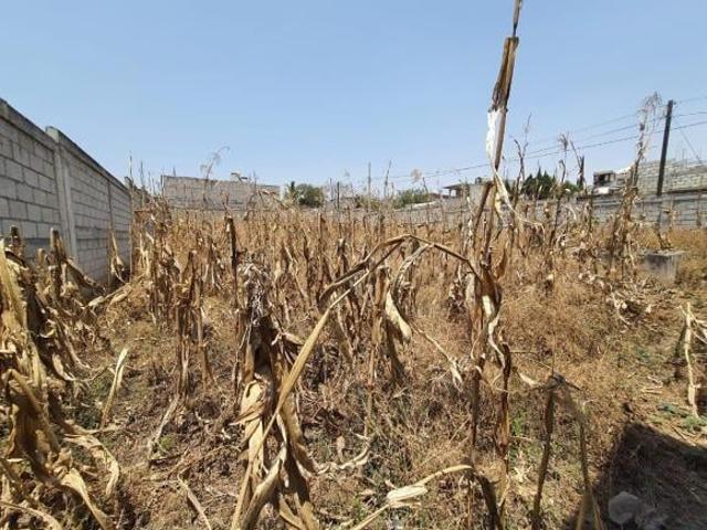 Terreno en Venta, Juan Morales OCT 864