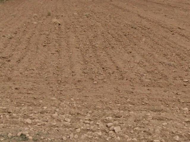 Terreno en venta en Altiplano, Murcia