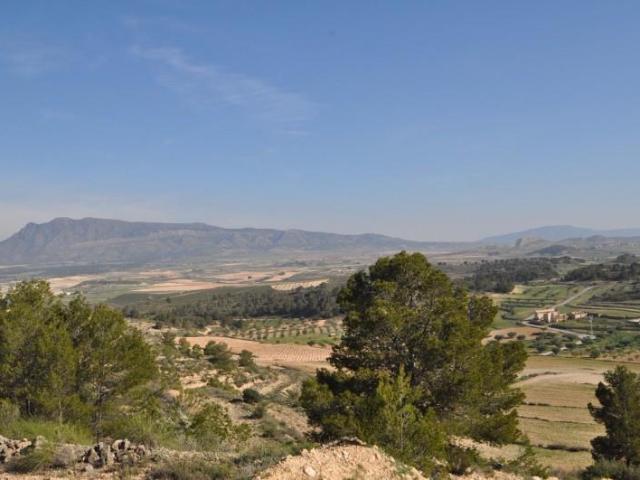 Terreno en venta en La Zarza, Oriental