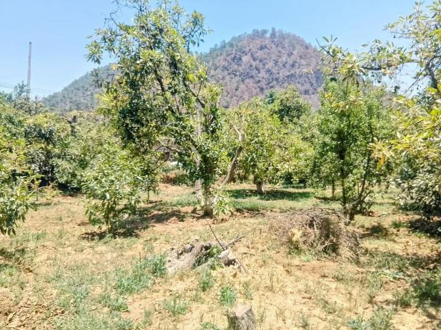 Terreno en venta en Amanalco, Estado de México