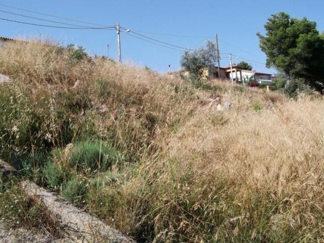 Terreno en venta en el Priorat de la Bisbal, Baix Penedès