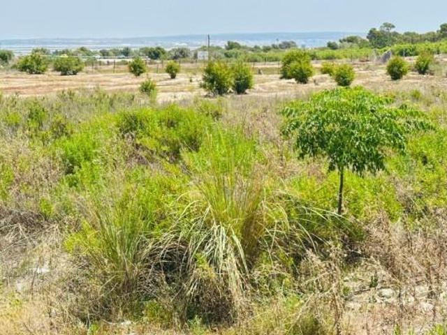Terreno en venta en la Marina, el Baix Vinalopó
