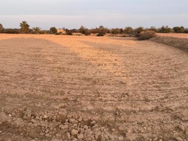 Terreno en venta en la Marina, el Baix Vinalopó