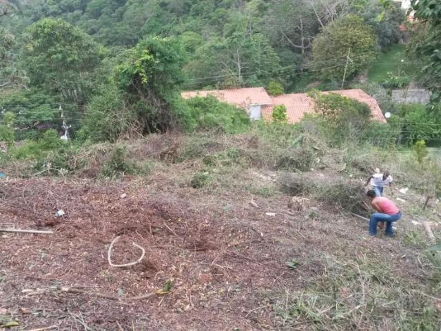 Terreno en venta en Francisco Linares Alcántara, Miranda