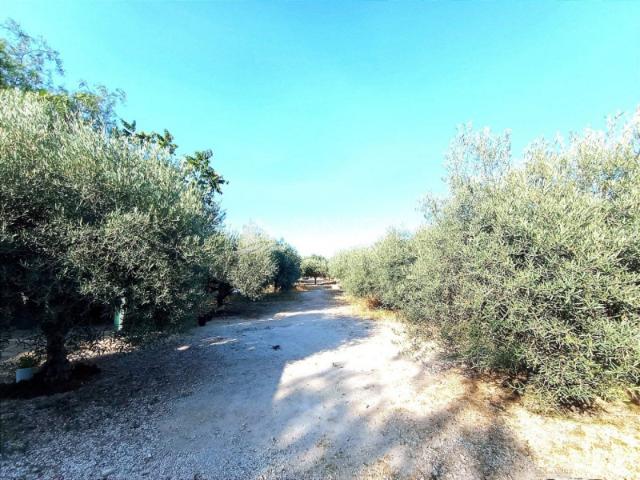 Terreno en venta en Joan XXIII, l'Alacantí