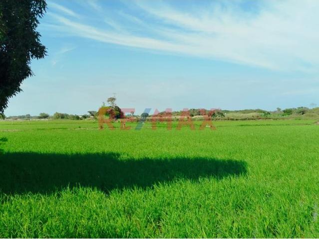 Terreno venta en Mocce, Lambayeque