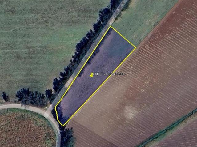 Terreno en venta en Tepatitlán de Morelos, Región Altos Sur