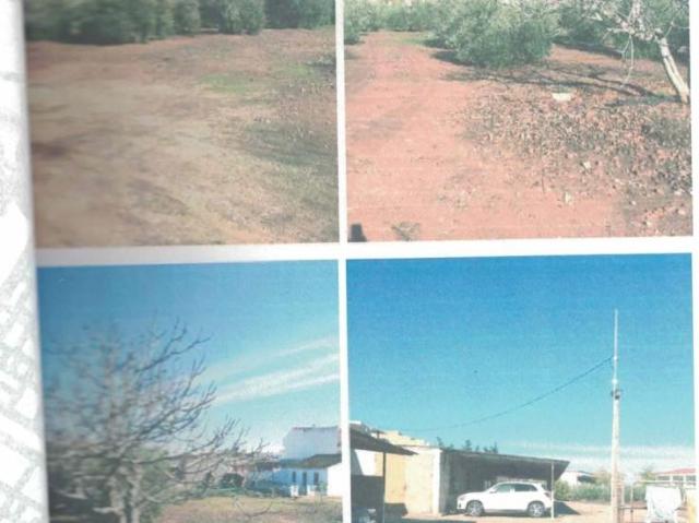 Terreno en venta en Linares, Andalucía
