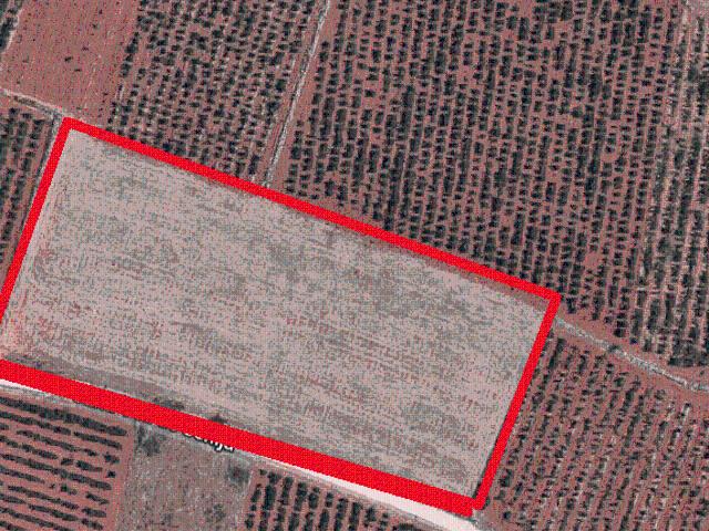 Terreno en venta en la Marina Alta, Valencia