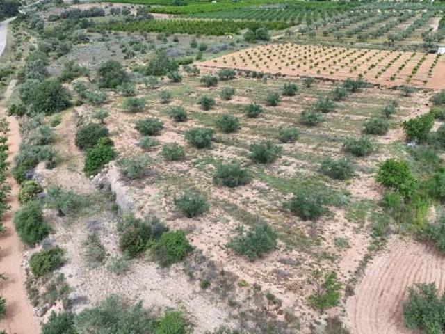 Terreno en venta en El Corral de la Marquesa, el Camp de Túria
