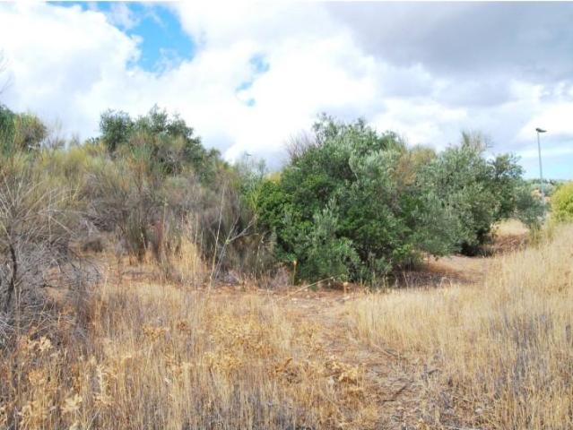 Terreno en venta en Riofrío, Comarca de Loja