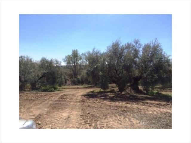 Terreno en venta en Los Santos, Lucena
