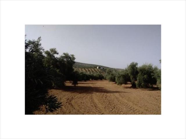 Terreno en venta en Las Vegas, Lucena